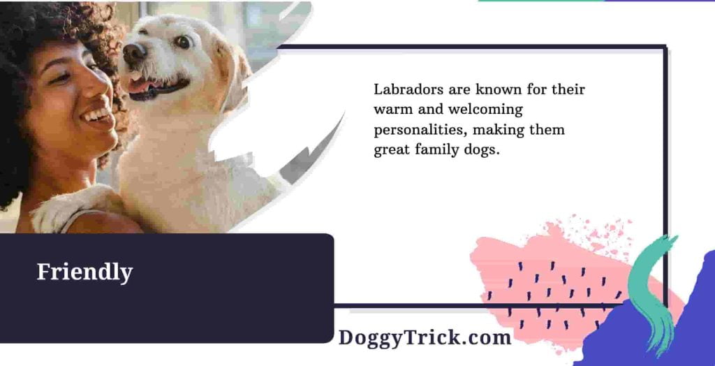 Labrador Retriever
